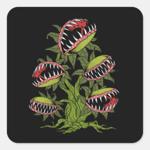 Sticker Carré Cadeaux Plantes carnivores Monster Vénus Piège V