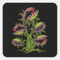 Cadeaux Plantes carnivores Monster Vénus Piège Vol