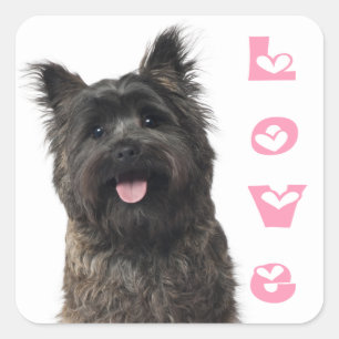 Sticker Carré Cairn Terrier Love Puppy Dog Mom Fur Mama Canine