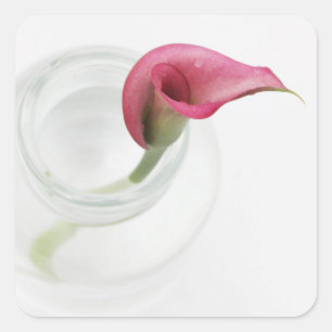Sticker Carré Calla