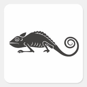 Sticker Carré caméléon simple