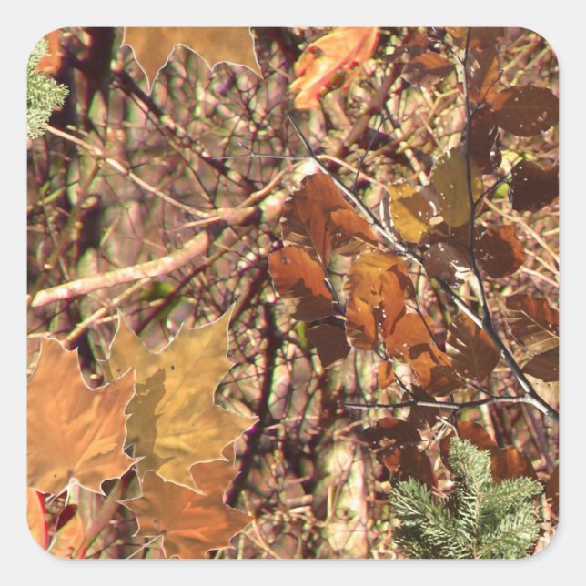 Sticker Carré Camouflage de Fall Forest Bush (Devant)