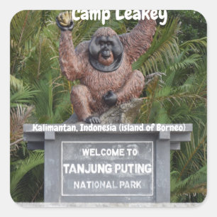 Sticker Carré Camp Leakey Tanjung mettant le parc national