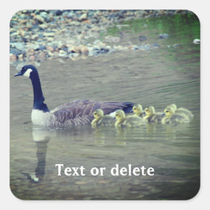 Sticker Carré Canada Oie Maman Bébés Nature Personnalisée