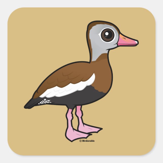 Sticker Carré Canard siffleur à ventre noir Birdorable (Devant)
