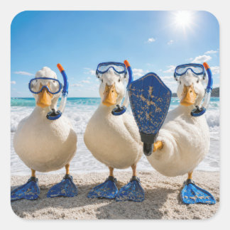 Sticker Carré Canards blancs drôles avec équipement de snorkelin