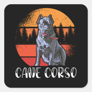 Sticker Carré Cane Corso Chien Propriétaire Cane Corsos