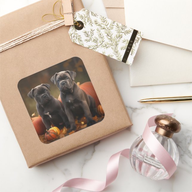 Sticker Carré Cane Corso Chiot Automne Citrouille de plaisir (Cadeaux)