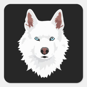 Sticker Carré Canine Husky Sibérienne Blanche - Chien Blanche
