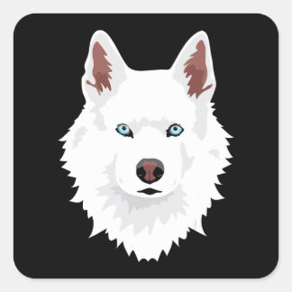 Sticker Carré Canine Husky Sibérienne Blanche - Chien Blanche