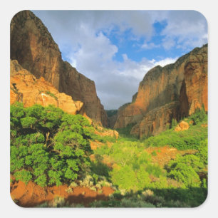 Sticker Carré Canyon Kolob à Zion Canyon à Zion National