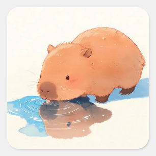 Sticker Carré Capybara Mignon Buvant dans une Flaque Bleue