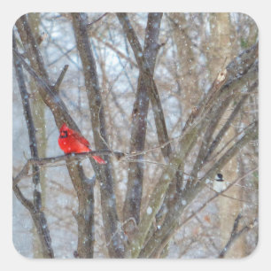 Sticker Carré Cardinal et Chickadee