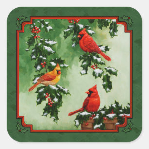 Sticker Carré Cardinaux rouges et Holly Green