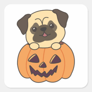 Sticker Carré Carlin En Chiens Doux Citrouilles Bonne Halloween