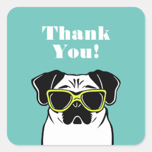 Sticker Carré Carlin intelligent