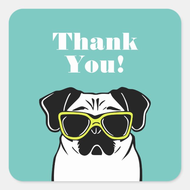 Sticker Carré Carlin intelligent (Devant)