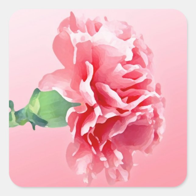 Sticker Carré Carnation rose (Devant)