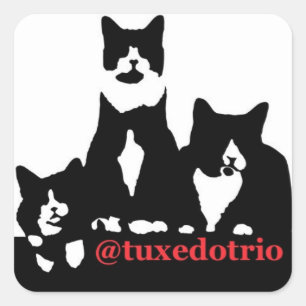 Sticker Carré Carré TuxedoTrio