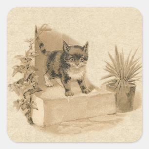 Sticker Carré Carte française d'antiquité avec dessin de chat Vi
