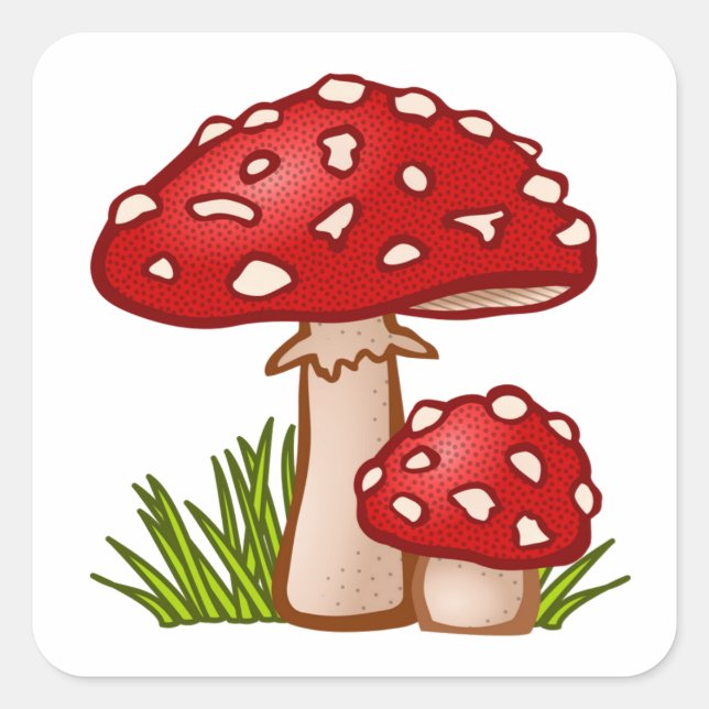 Sticker Carré Cartographie de champignon rouge (Devant)