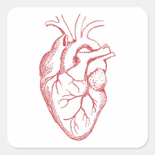 Sticker Carré Cartographie de l'anatomie cardiaque humaine
