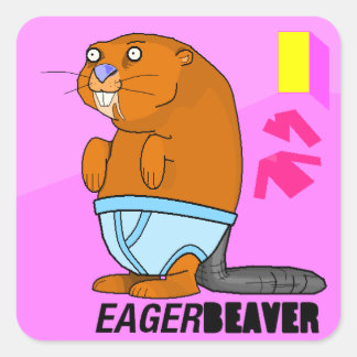 Sticker Carré Castor Eager