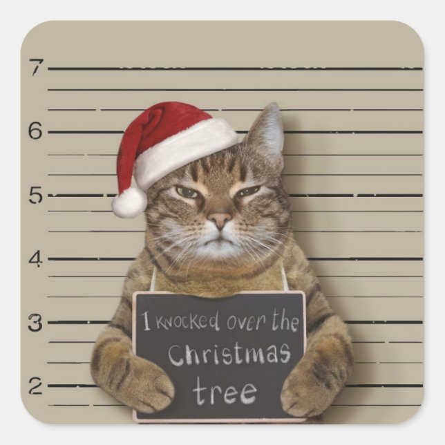 Sticker Carré Cat Christmas (Devant)