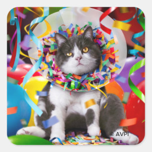 Sticker Carré Cat In Party Cone