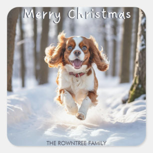 Sticker Carré Cavalier King Charles Spaniel Neige Joyeux Noël