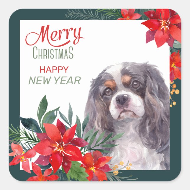 Sticker Carré Cavalier King Charles Spaniel Poinsettia Bouquet (Devant)
