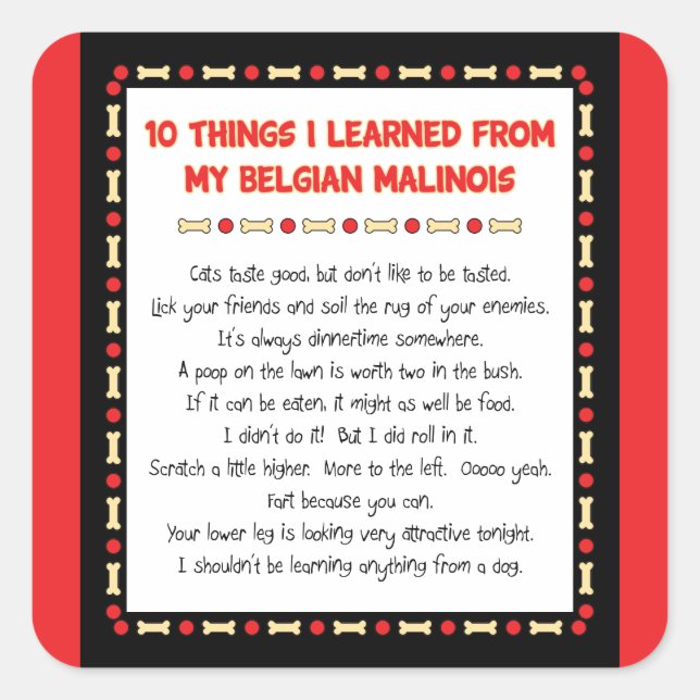 Sticker Carré Ce Que J'Ai Appris De Mes Malinois Belges (Devant)