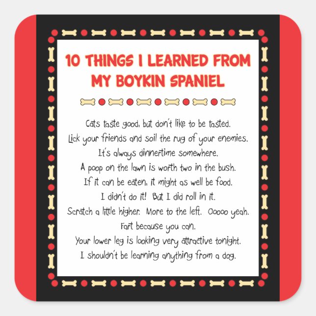 Sticker Carré Ce Que J'Ai Appris De Mon Boykin Spaniel (Devant)