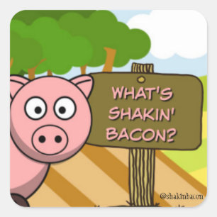 STICKER CARRÉ CE QUI EST SHAKIN BACON CUTE PIG