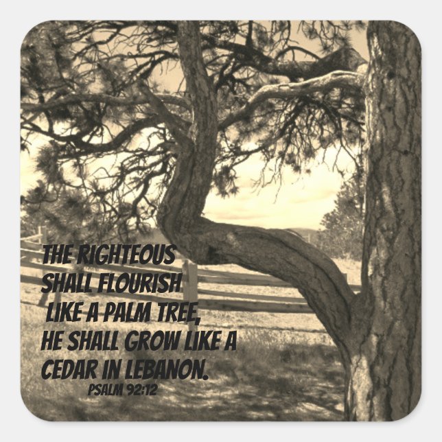 Sticker Carré Cèdres du Liban Bible Verse Psaume 91:12 (Devant)