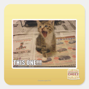 Sticker Carré Celui-ci !