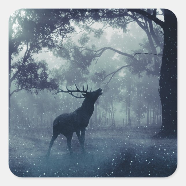 Sticker Carré Cerf avec Antlers dans une forêt ombragée (Devant)