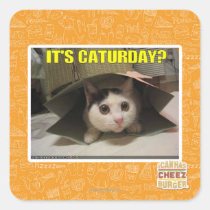Sticker Carré C'est Caturday ?