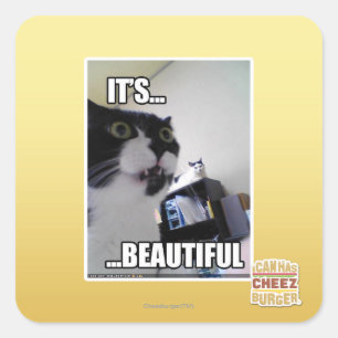 Sticker Carré C'est magnifique