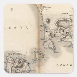 Sticker Carré Champs Phlegreens