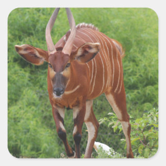 Sticker Carré Chargement