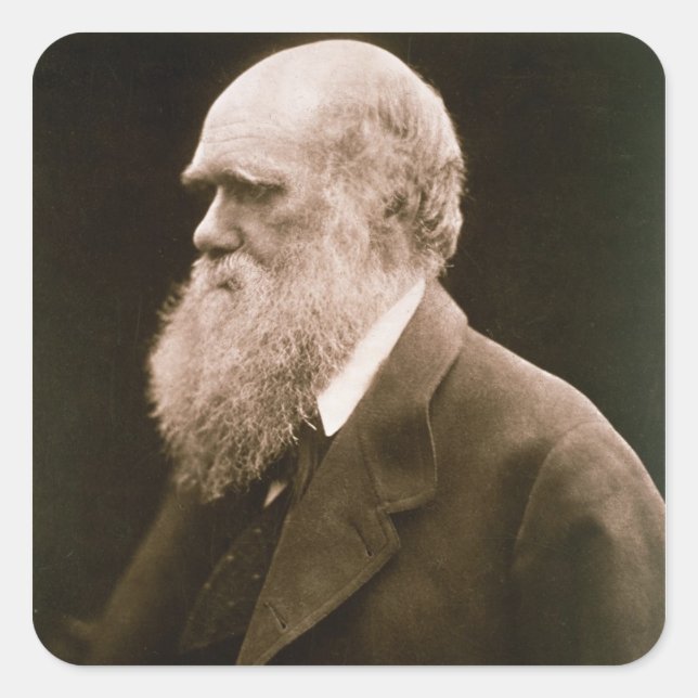 Sticker Carré Charles Darwin (1809-82) (Devant)