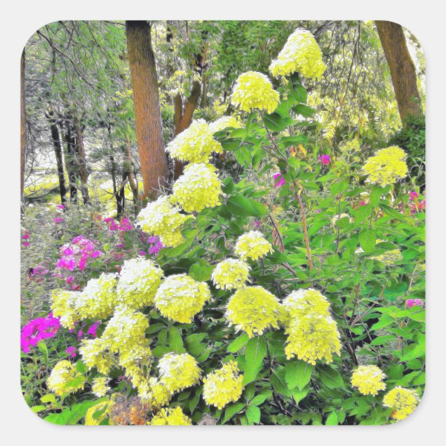Sticker Carré Chartreuse Vert Limelight Hydrangea Garden (Devant)