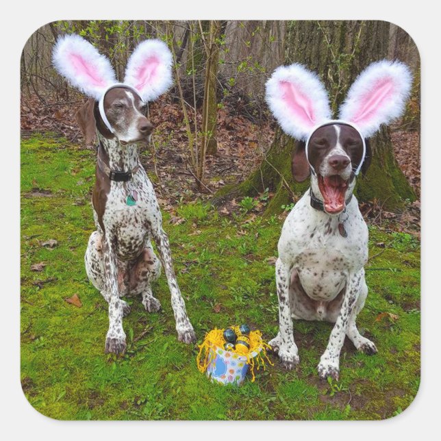 Sticker Carré Chasse aux oeufs de Pâques et Chiens de fête Stick (Devant)