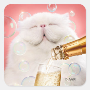 Sticker Carré Chat Au Champagne
