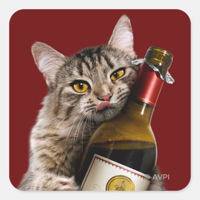 Sticker Carré Chat Avec Bouteille De Vin (Devant)