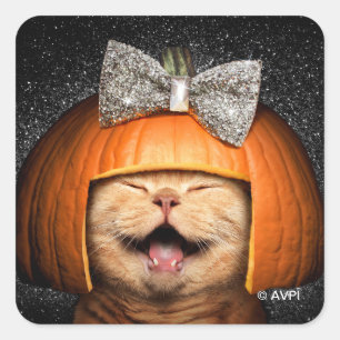 Sticker Carré Chat Avec Cheveux Citrouilles