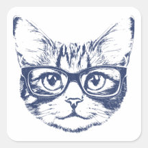 Chat cool avec lunettes