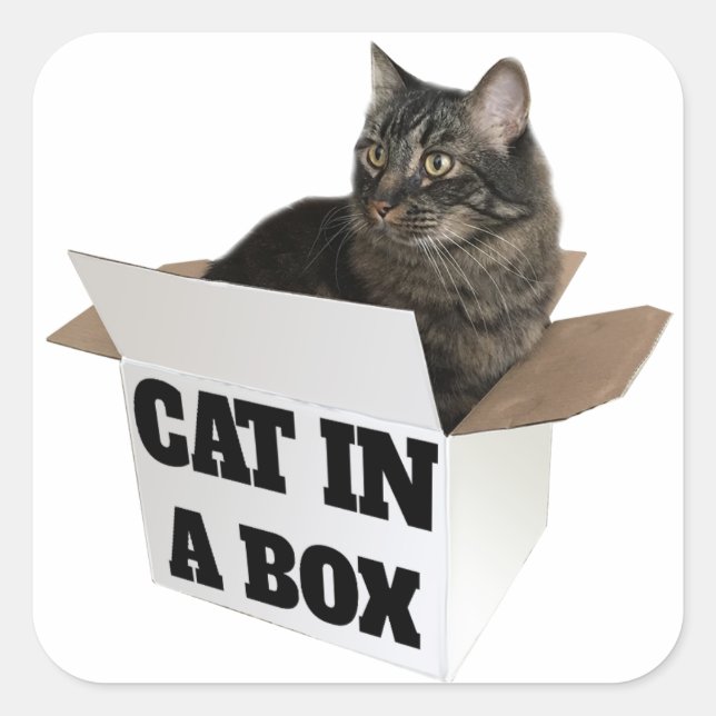 Sticker Carré Chat dans une boîte ! (Devant)