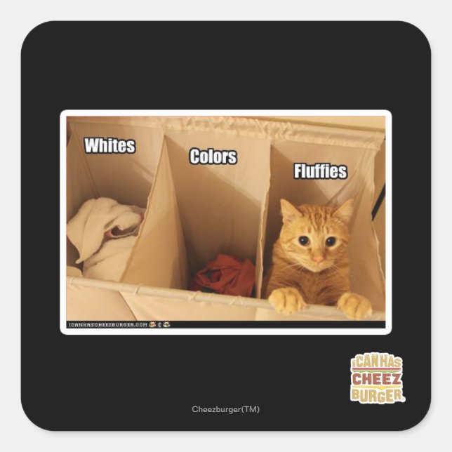 Sticker Carré Chat de blanchisserie (Devant)
